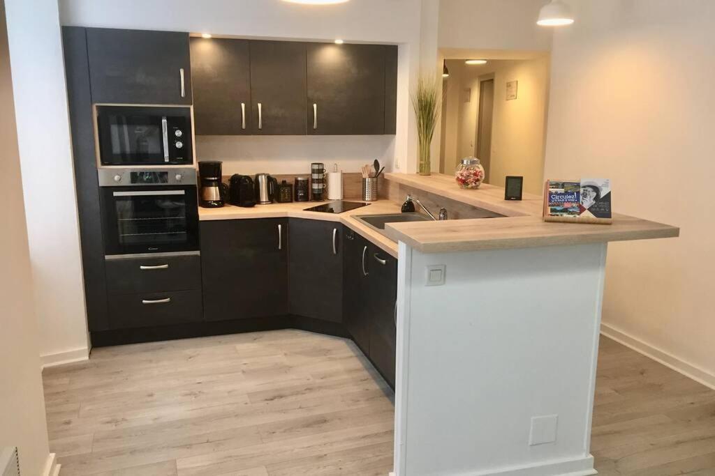 לורדה Le Montferrat - 65M2 - 2 Chambres - Rue De La Grotte - Hyper Centre מראה חיצוני תמונה