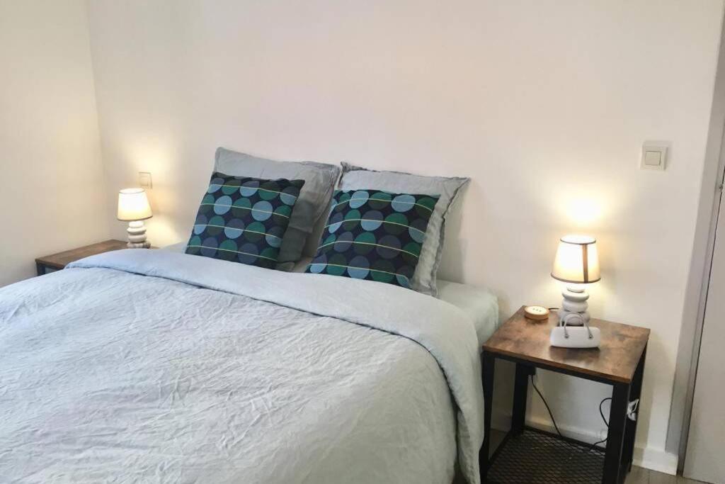 לורדה Le Montferrat - 65M2 - 2 Chambres - Rue De La Grotte - Hyper Centre מראה חיצוני תמונה